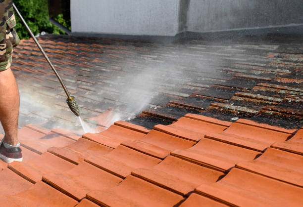 Best Concrete Pressure Washing  in Owosso, MI