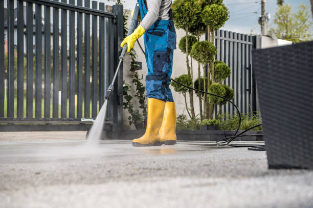 Best Deck Cleaning Services  in Owosso, MI