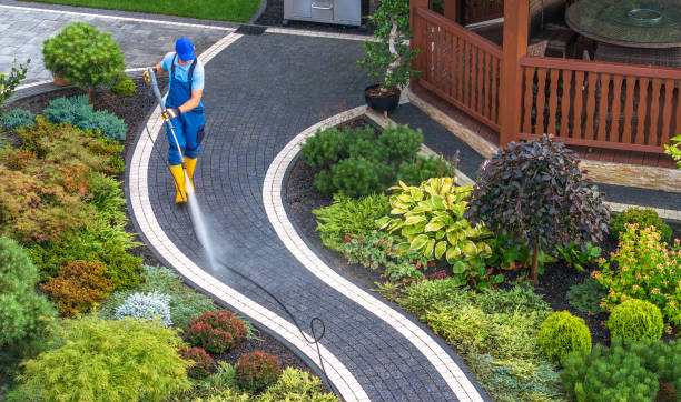 Best Affordable Pressure Washing  in Owosso, MI
